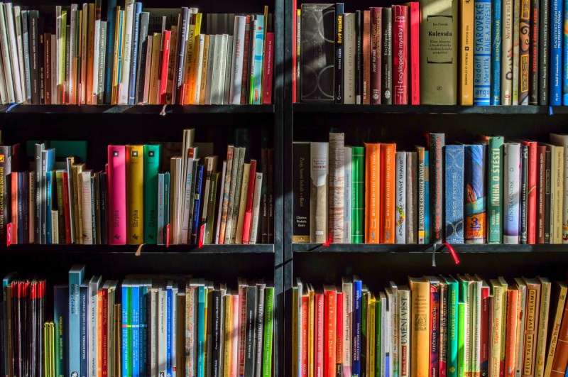 ecommerce-REVEST LES ROCHES-min_books_bookstore_book_reading_shop_writer_sale_books_read-822866